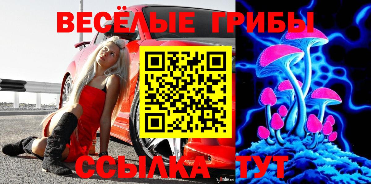 Псилоцибиновые грибы MAGIC MUSHROOMS  Вход с VPN  Отрадное 