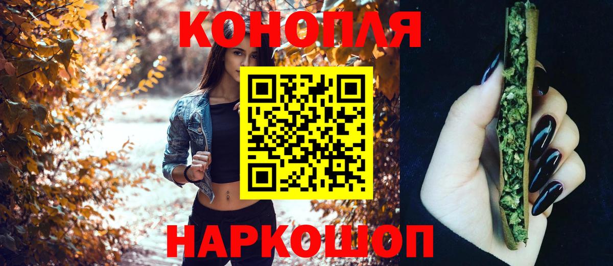 Шишки марихуана семена Отрадное